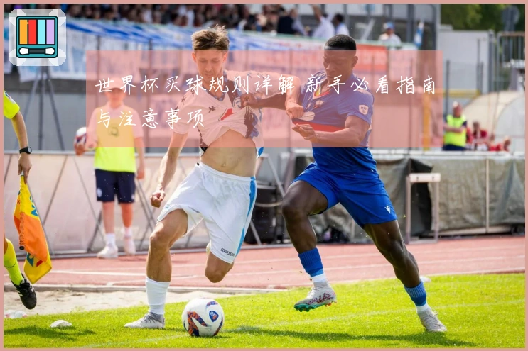 世界杯买球规则详解 新手必看指南与注意事项