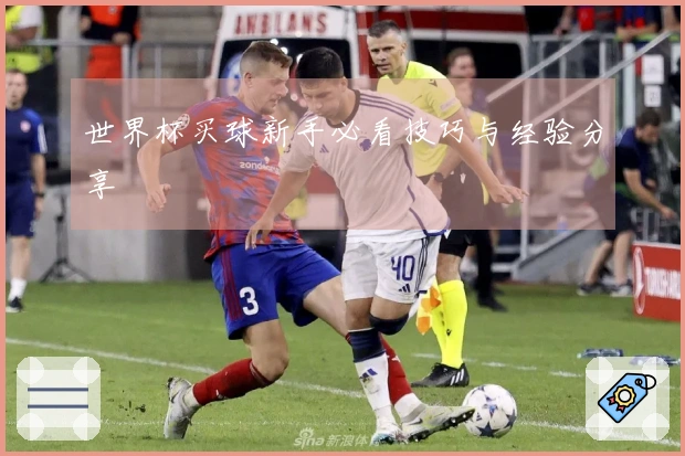 世界杯买球新手必看技巧与经验分享