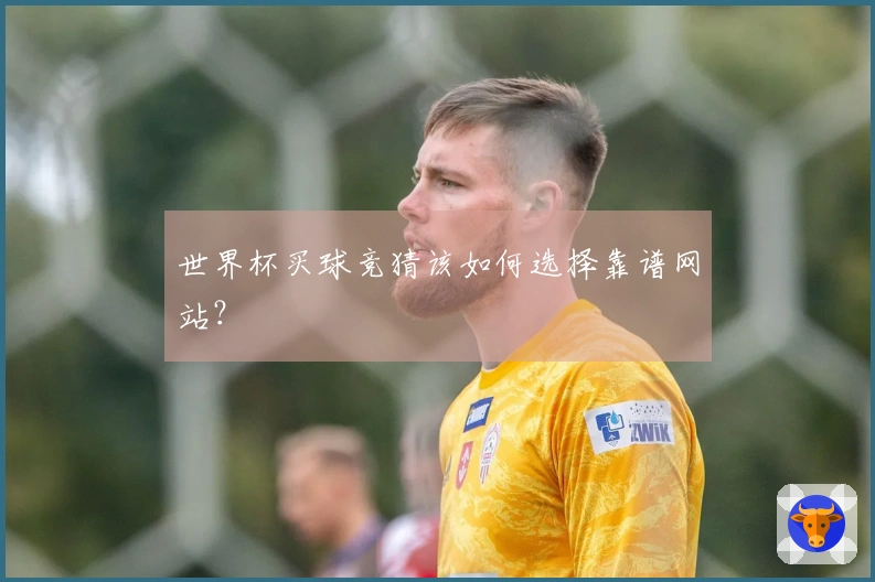 世界杯买球竞猜该如何选择靠谱网站？