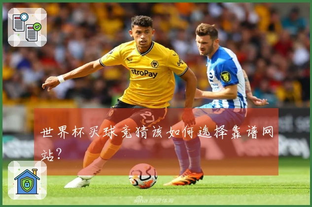世界杯买球竞猜该如何选择靠谱网站？