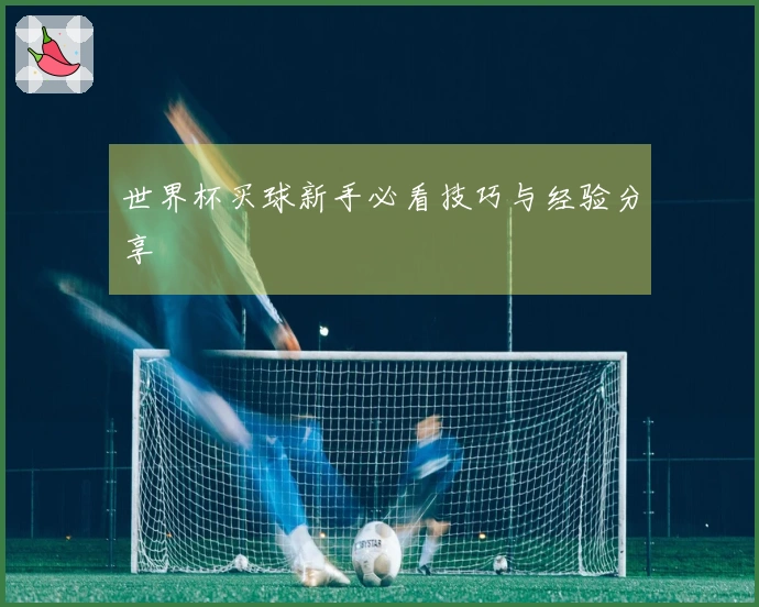 世界杯买球新手必看技巧与经验分享