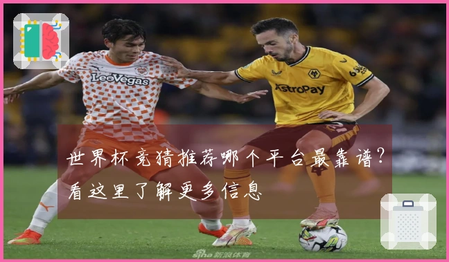 世界杯竞猜推荐哪个平台最靠谱？看这里了解更多信息