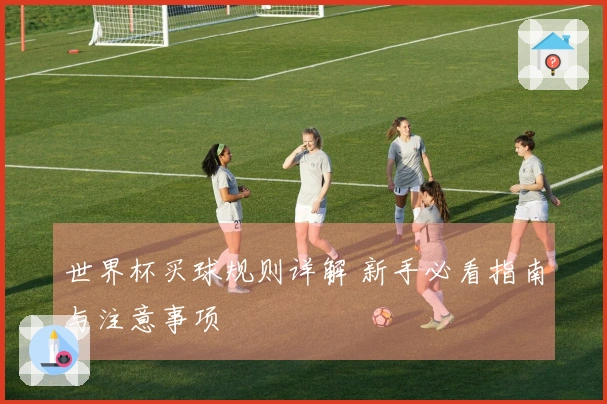 世界杯买球规则详解 新手必看指南与注意事项